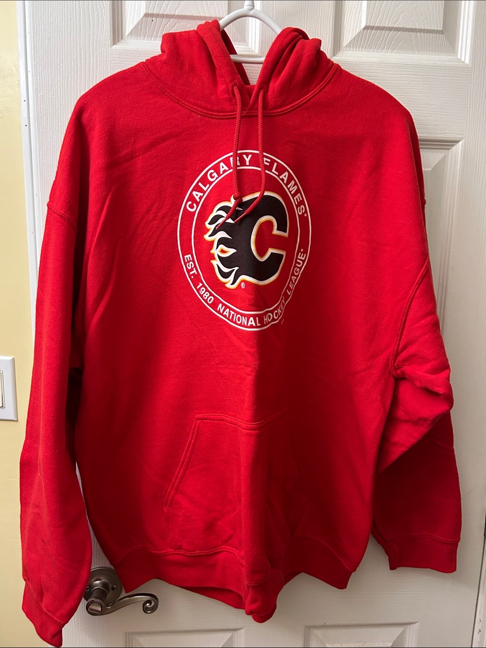 Red Pullover Hoodie - NHL Team Logo